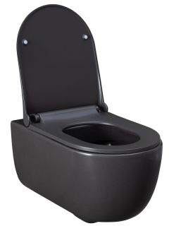 Подвесной унитаз Allen Brau Priority 4.31001.AN антрацит